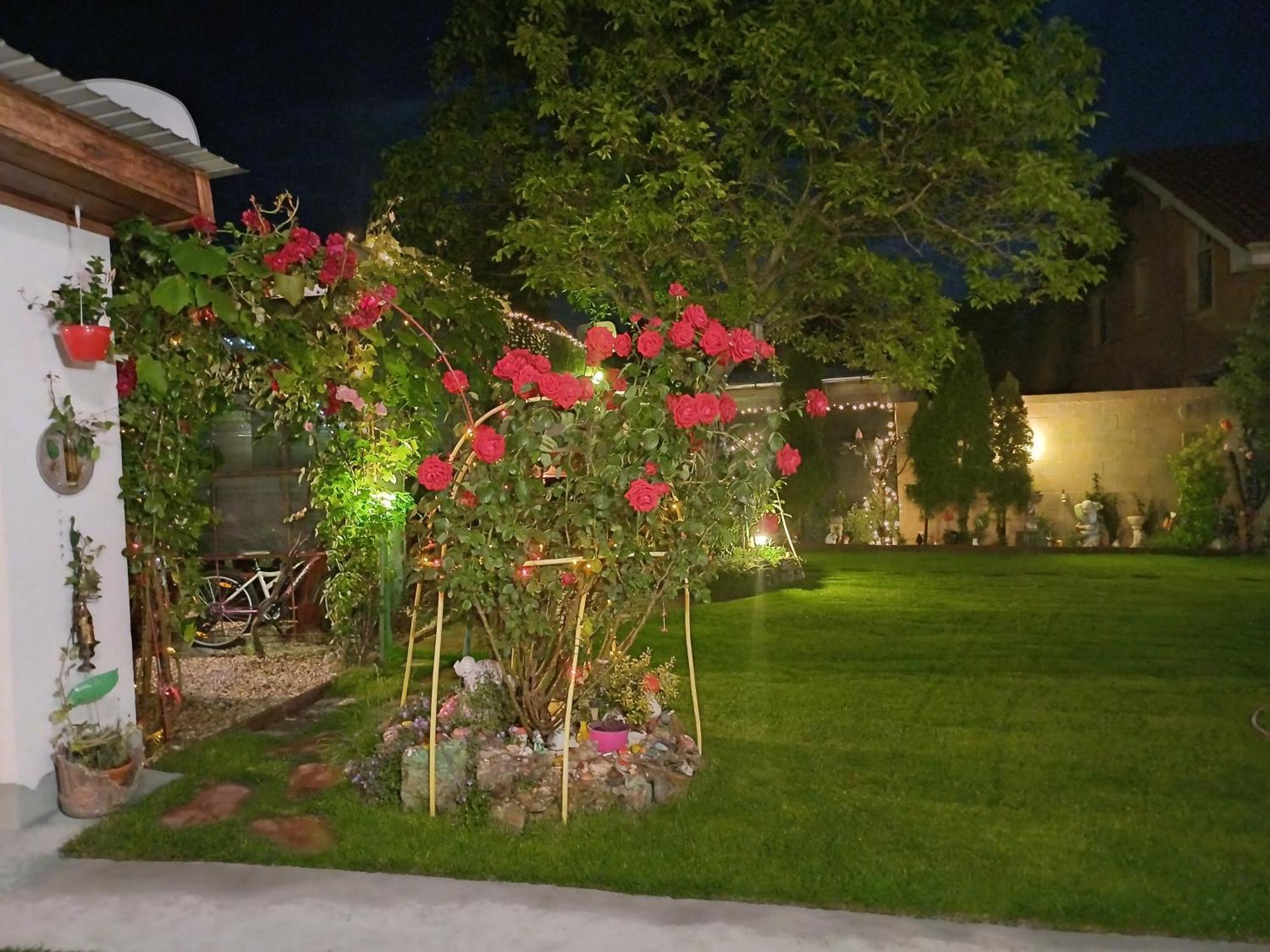 Casa Marinela Băile Felix Exterior foto